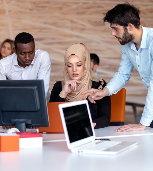 Culture Sensitive Expert Team