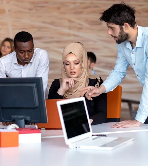 Culture Sensitive Expert Team
